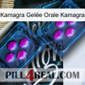 Kamagra Gelée Orale Kamagra 03